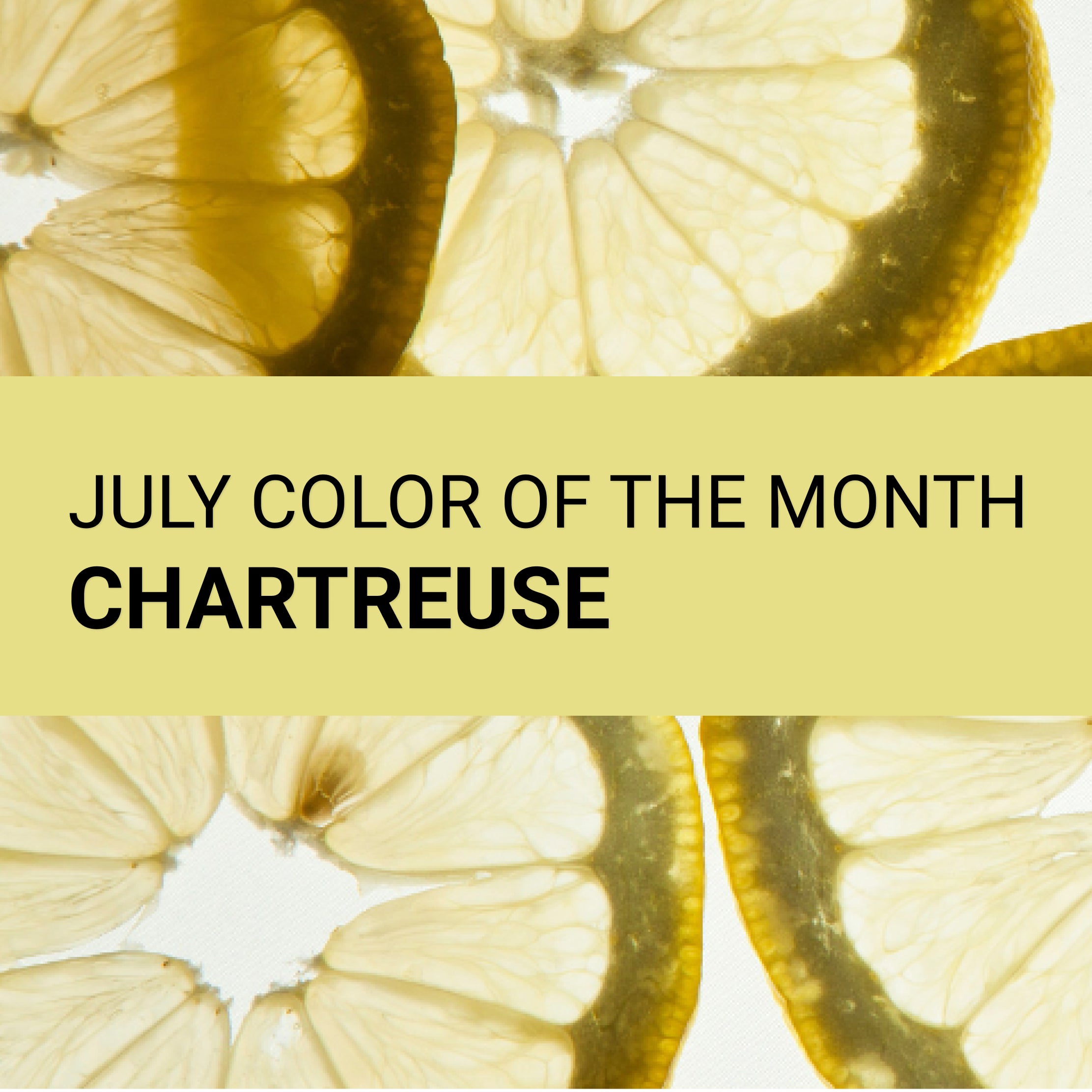 Professional Painters in Vancouver, BC WOW 1 DAY PAINTING